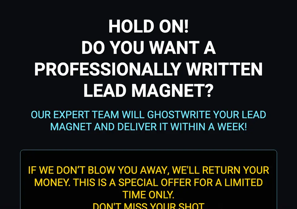 DFY Lead Magnet with Sales Copy sales page